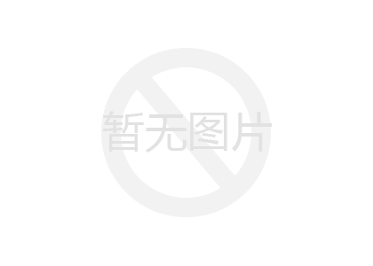 鐵路隧道鋼格柵板技術(shù)詳析